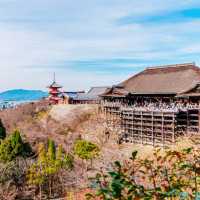 【京都と言えば！】清水寺✨