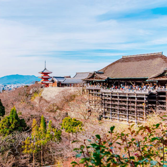【京都と言えば！】清水寺✨