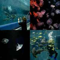bangsaen Aquarium 
