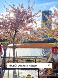 3 พิกัดดูซากุระบานที่ Ueno 🌸