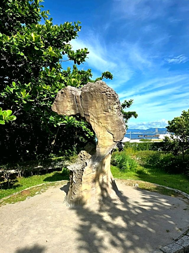 Sculpted by Sea and Sky on the north coast