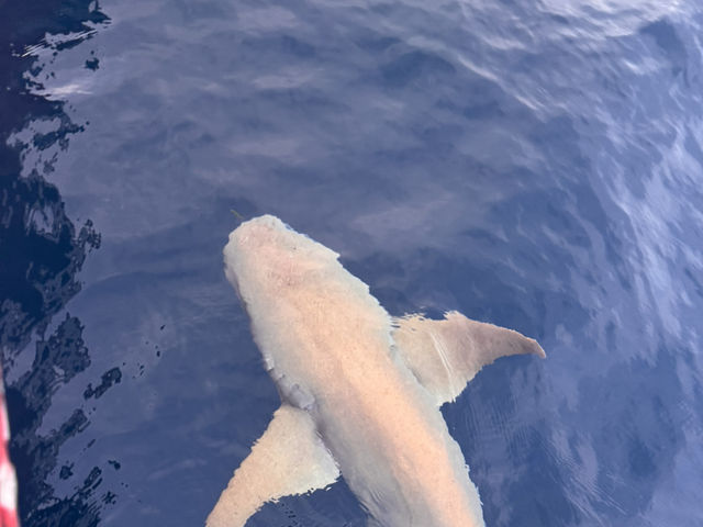 Refreshing trip in Maldives 