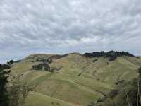 Wild walks; Seabirds & Star gazing