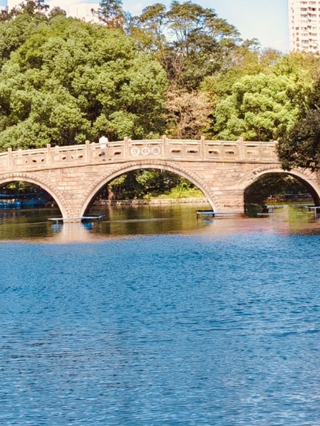 A Photographer's Canvas of Greenery, History, and Local Culture