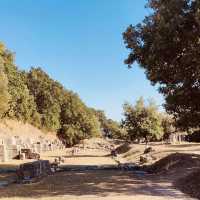 🏛️✨ A Solo Pilgrimage to Illyria’s Ivy-Covered Ruins: Apollonia Archaeological Park