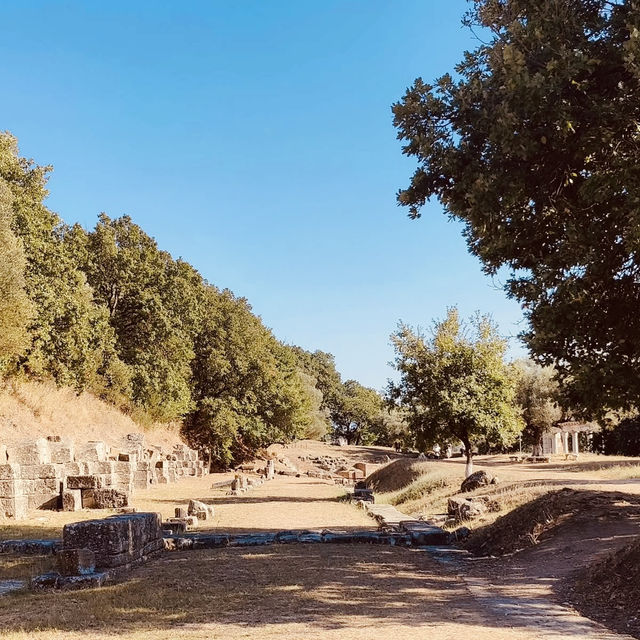 🏛️✨ A Solo Pilgrimage to Illyria’s Ivy-Covered Ruins: Apollonia Archaeological Park 🏛️✨ A Solo Pilgrimage to Illyria’s Ivy-Covered Ruins: Apollonia Archaeological Park