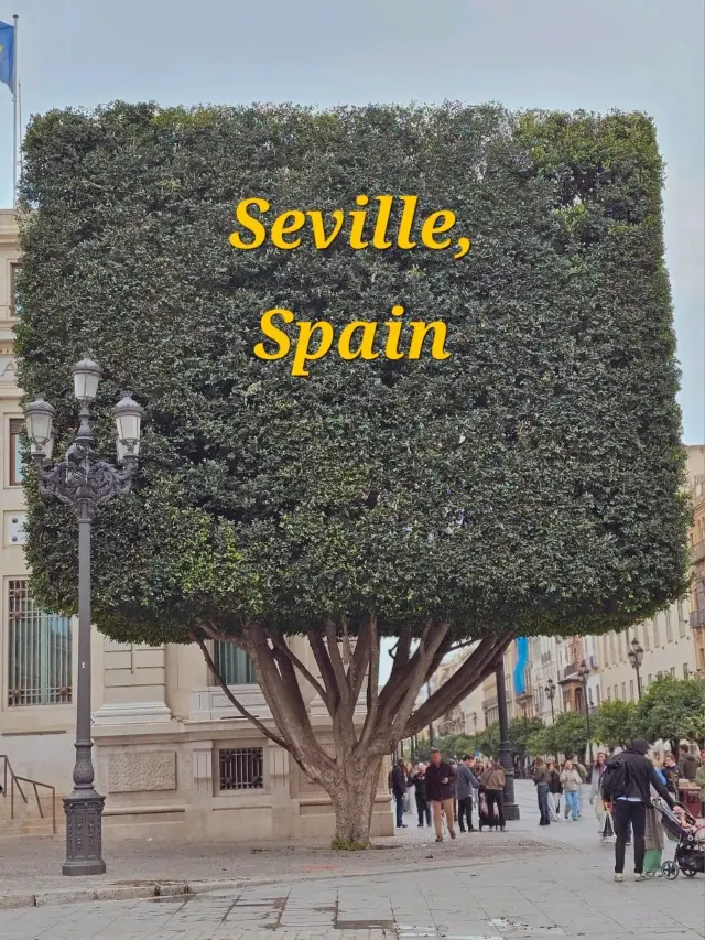Seville: A walk in food and history