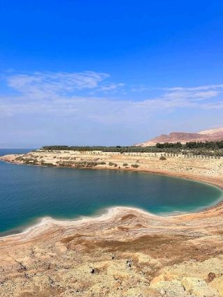 Floating in the Unique Waters of the Dead Sea