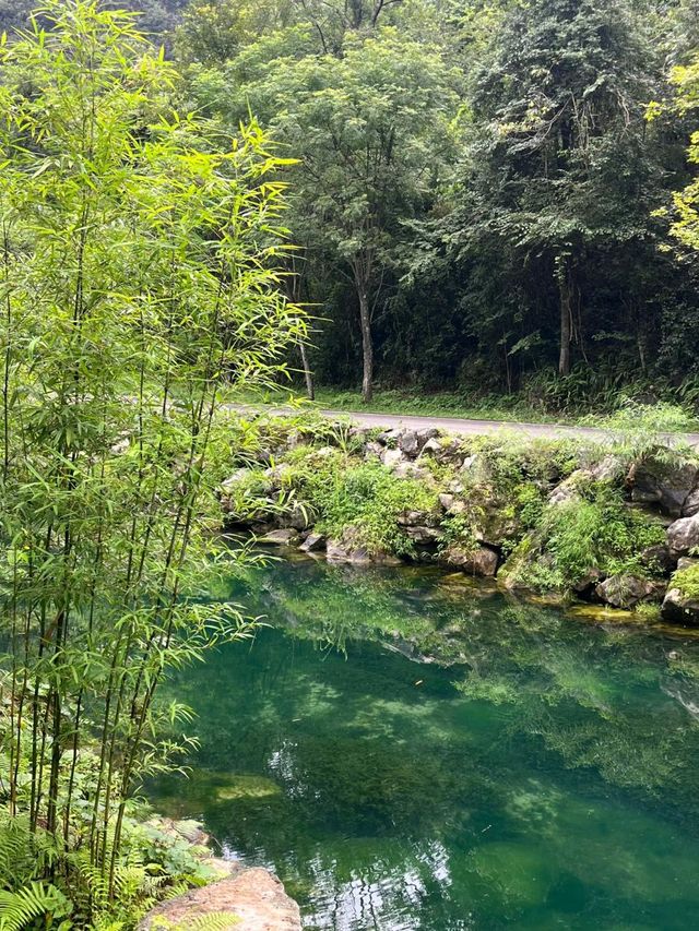 Breathe Easy in Libo: China’s Natural Escape