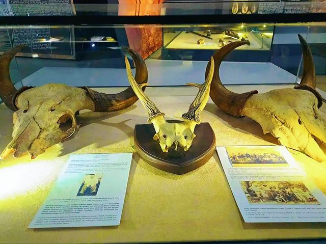 Sabah State Museum – A Journey Through Sabah’s Heritage