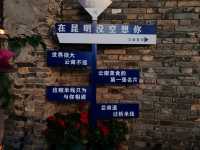Savoring Wild Mushroom Hot Pot in Kunming Old Street: A Taste of Yunnan's Charm