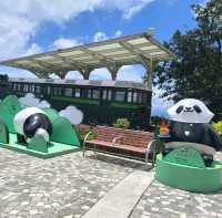 一日玩盡山頂廣場必踏路線