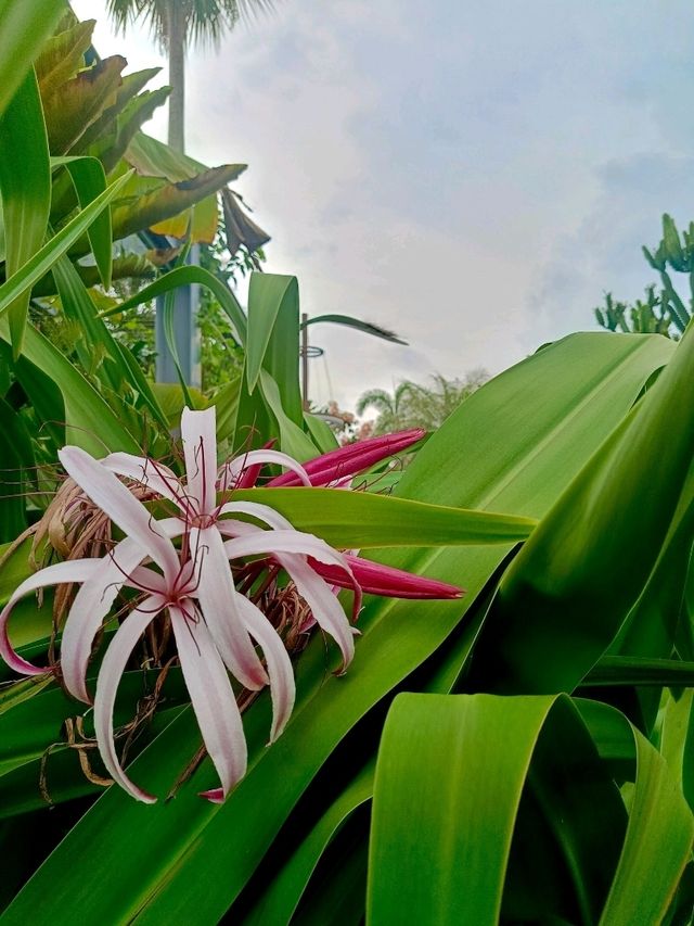 the Secret Garden, Upper Roof @ One Utama, Petaling jaya