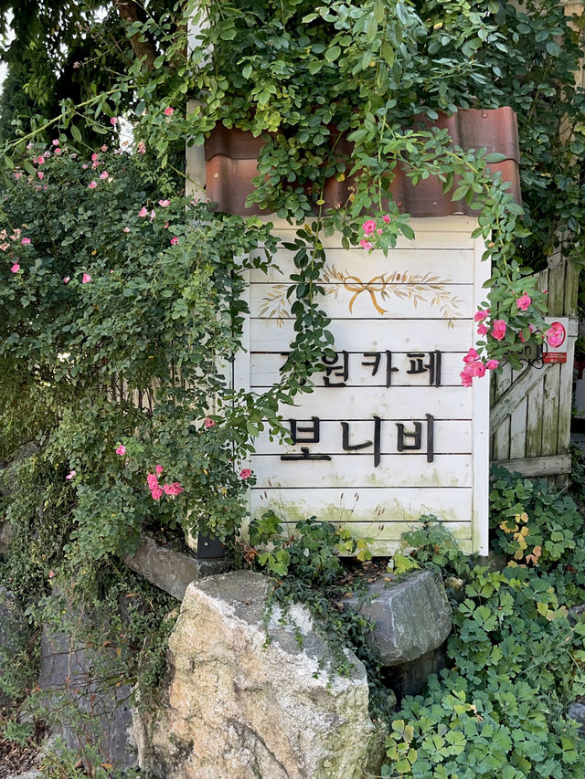 아름다운 정원에서 인생샷 100장! 대전 근교 카페🌼