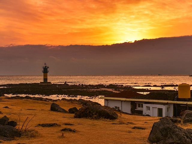 🏝 우도·비양도 – 제주의 보석 같은 섬들