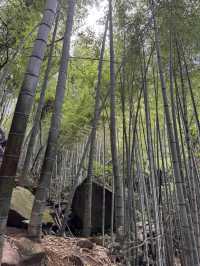 Trekking in beautiful Moganshan mountain 莫干山