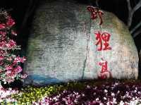 9月珠海必去打卡點！海邊劇院藝術爆燈🎭🌊