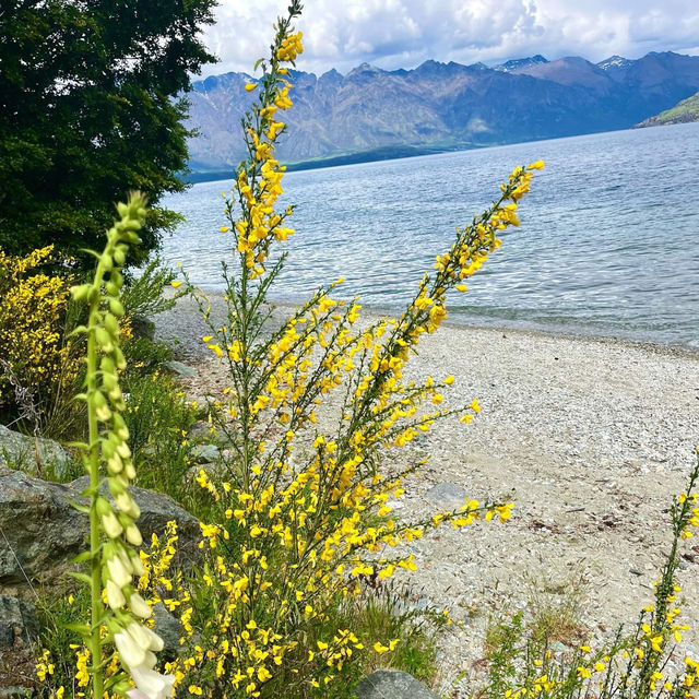 Ripples & Reflections: Sunshine Bay Serenity 