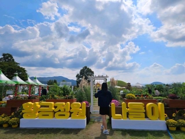 가을이 예쁜 경주 여행, 황금정원나들이 🍂