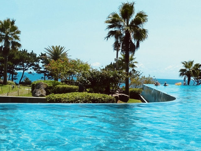 The Infinity Pool and Views The Infinity Pool and Views