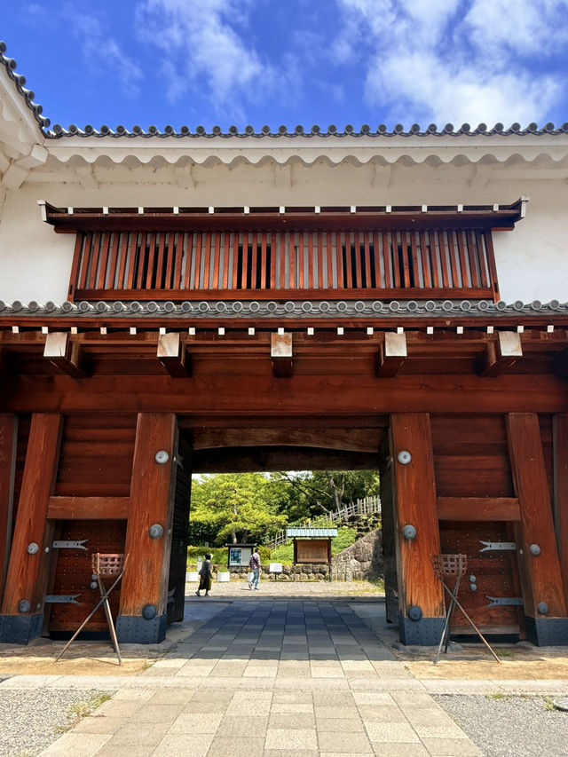 靜岡｜德川家康退位後的居所 遙控江戶的傳奇之所-駿府城