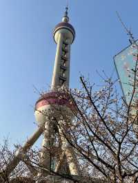 Lujiazui – อีกมุมที่สวยไม่แพ้ North Bund