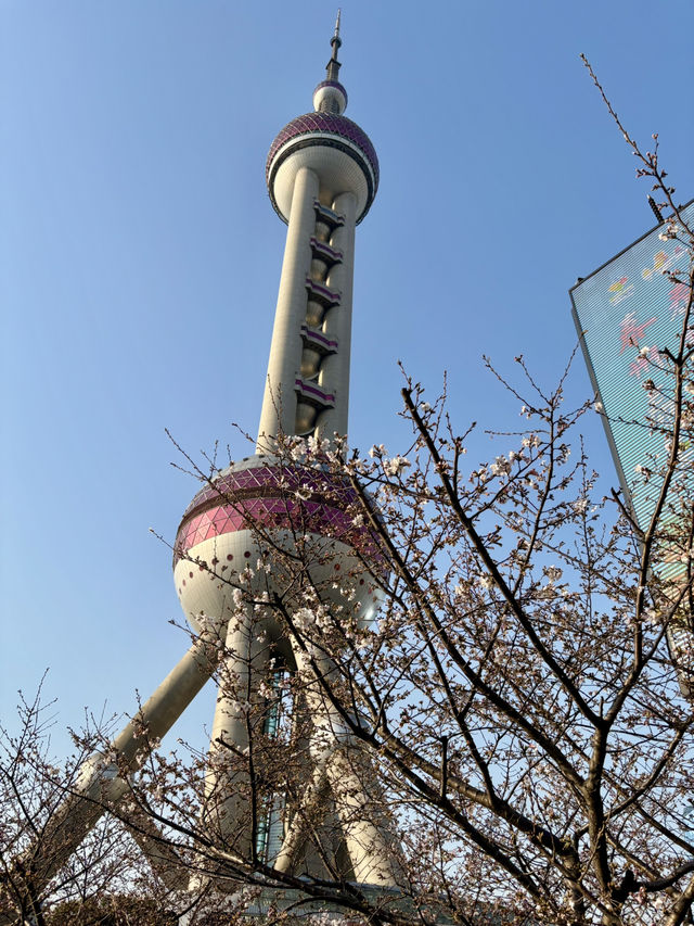 Lujiazui – อีกมุมที่สวยไม่แพ้ North Bund