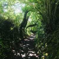 Barley Valley Nature Reserve – Hidden Hills & Meadows Above Exeter