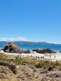 Revolving Around the Beauty of Nature: Trails – New Zealand 