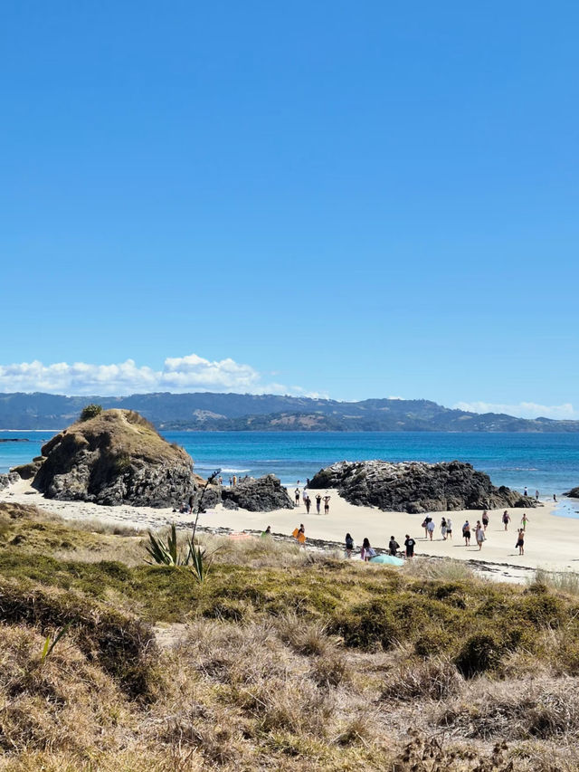 Revolving Around the Beauty of Nature: Trails – New Zealand 