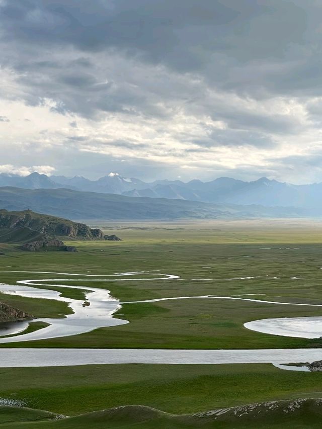Bayanbulak: Song of the Tianshan