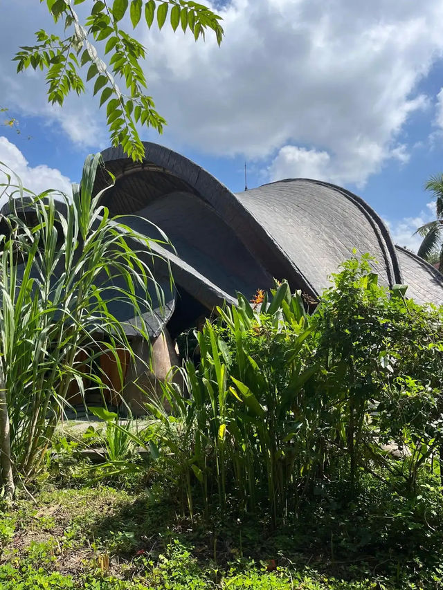 ๐ Alchemy Yoga Bali ๋ฐฉ๋ฌธ ํ๊ธฐ ๐ Alchemy Yoga Bali ๋ฐฉ๋ฌธ ํ๊ธฐ