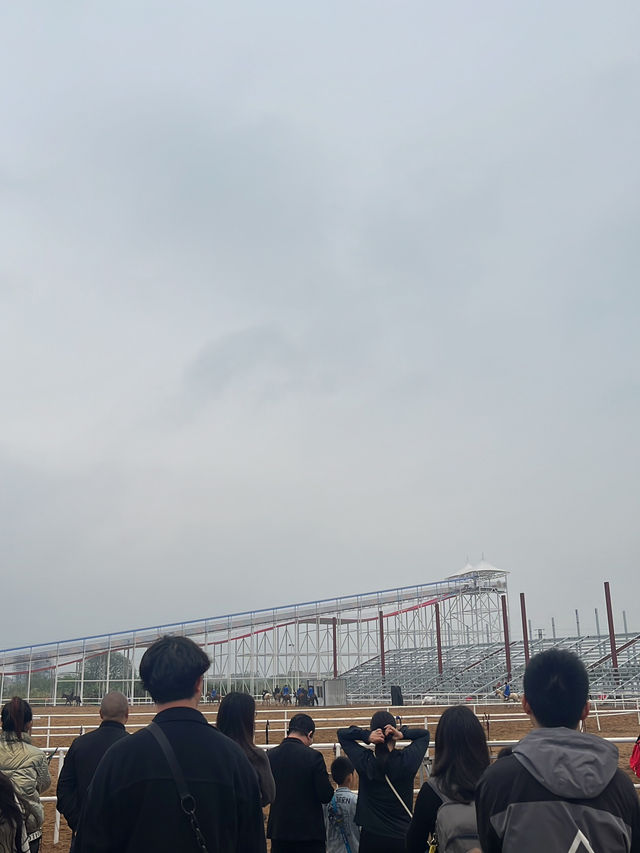 鶴山水鄉周末真chill新體驗  
