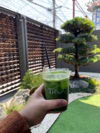 Treat Tea House คาเฟ่ชา พิษณุโลก🫖🍵
