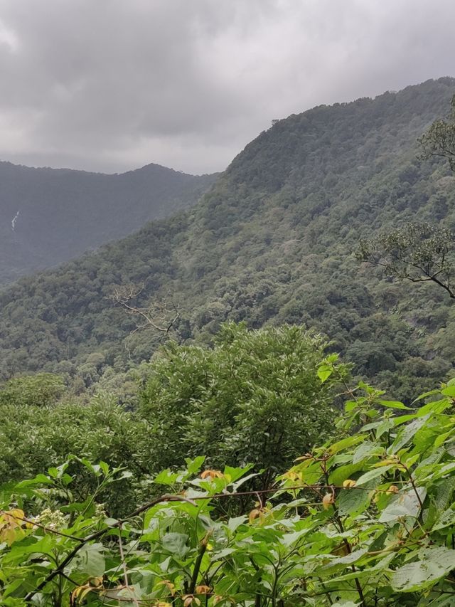 AGUMBE TRIP