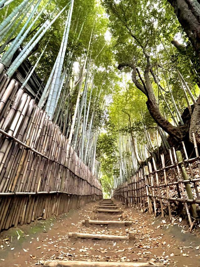 歴史ロマンを感じる竹林の小道