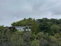 生簀ランチから牧野植物園へ🌿　高知旅