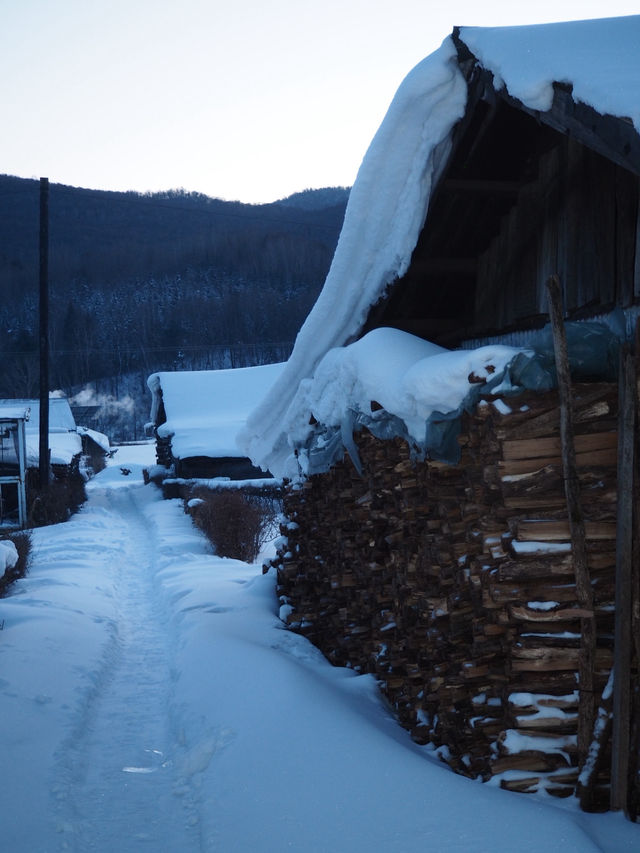 China Snow Valley (中国雪谷) : สวรรค์แห่งหิมะขาวโพลน