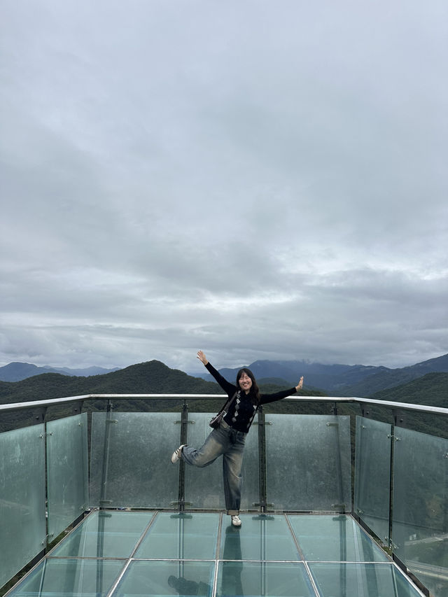 📍 단양 감성여행 코스