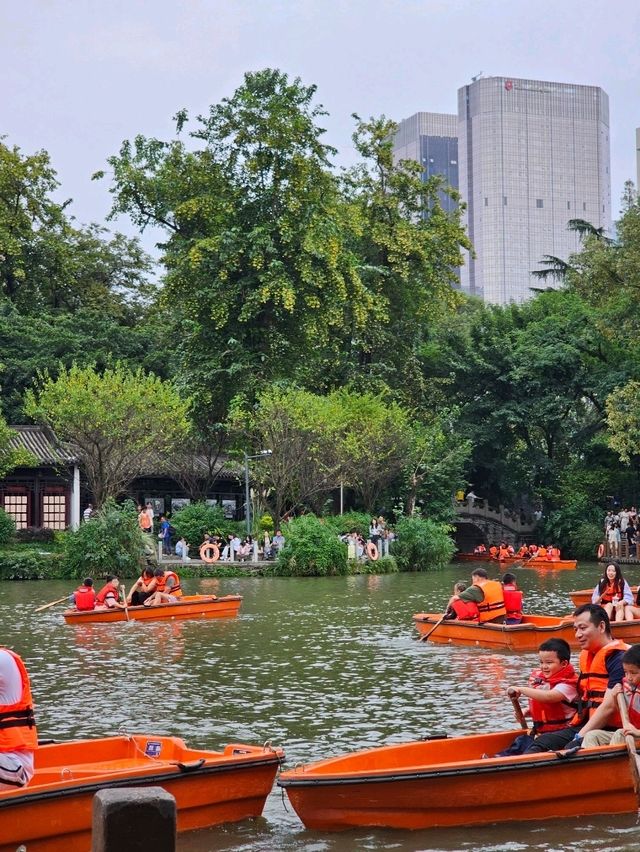 Nature Meets City🌳