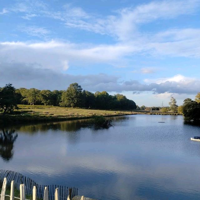 Richmond Park Richmond Park