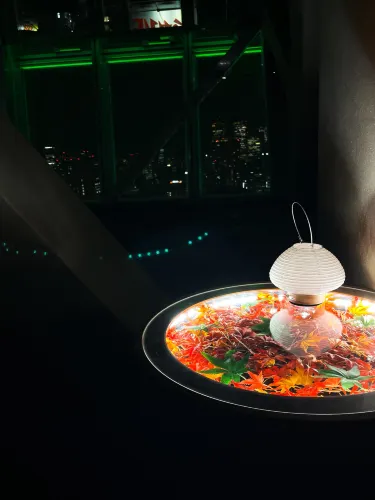 🌃나고야의 야경을 감상할 수 있는 ‘중부 전력 미라이타워 전망대’ 