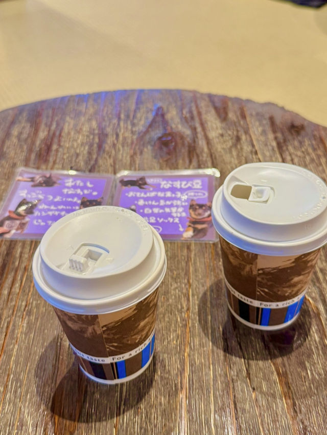 후쿠오카 근교 실내 커플 데이트 루트 추천 💑☕️