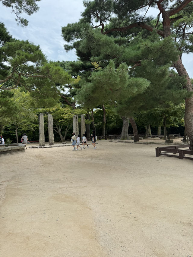 한국의 미를 느낀 하루 🇰🇷