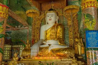 포니나 늪을 좋아해요