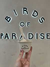 🌴シンガポールの空港で味わう癒しと美味しいアイス🍨|Jewel Changi Airport