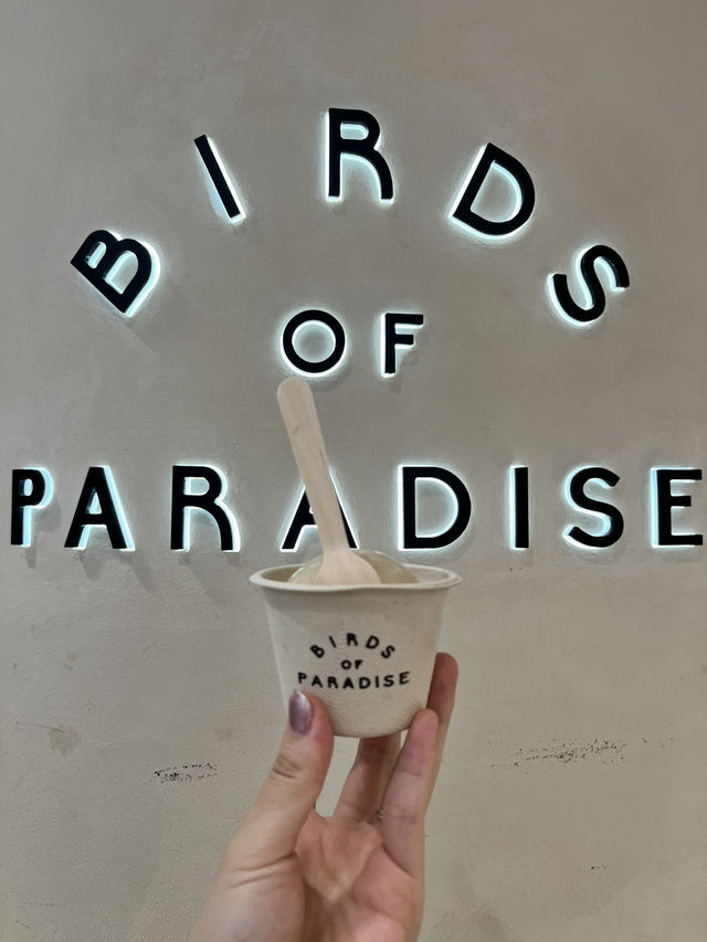 🌴シンガポールの空港で味わう癒しと美味しいアイス🍨|Jewel Changi Airport 🌴シンガポールの空港で味わう癒しと美味しいアイス🍨|Jewel Changi Airport