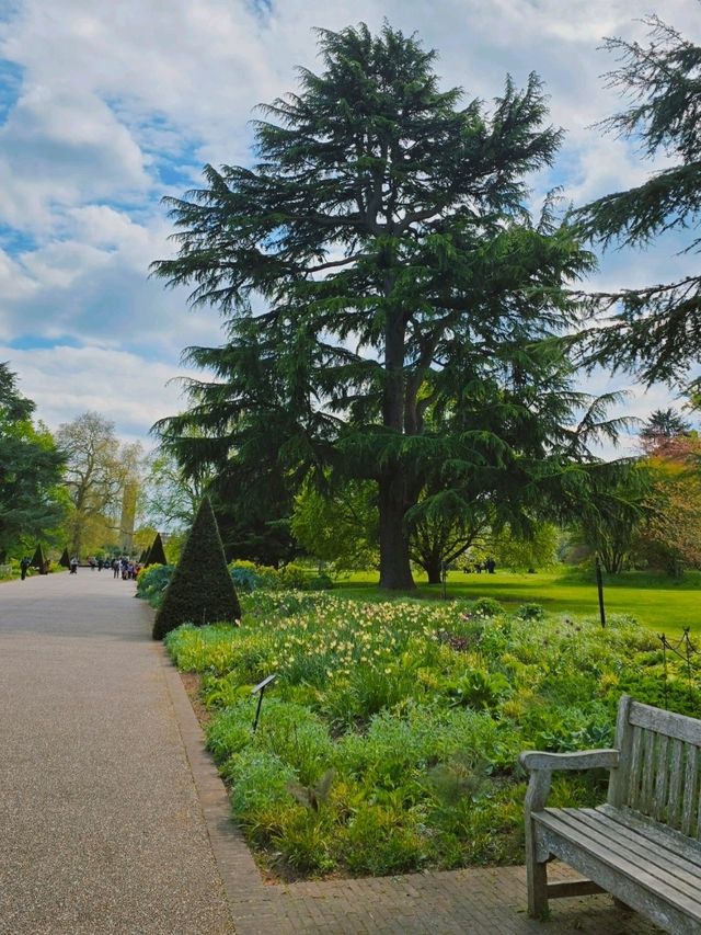 영국 왕립식물원 큐 가든의 대형 온실, 팜 하우스 영국 왕립식물원 큐 가든의 대형 온실, 팜 하우스
