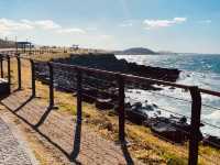 A Local’s Favorite for Exercise and Fresh Air