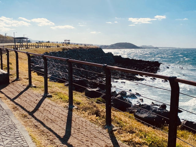 A Local’s Favorite for Exercise and Fresh Air
